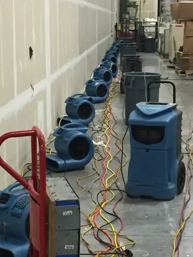 Air movers and dehumidifiers line a hallway beside walls opened at the base