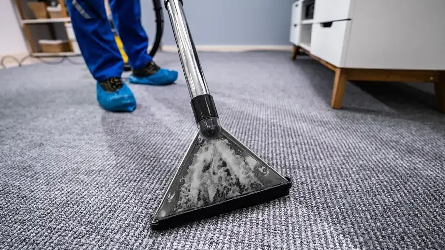 An extraction wand draws water from carpet beside a worker wearing protective shoe covers