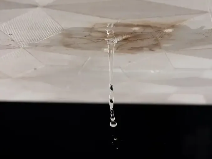 Water drips from a swollen ceiling with a brown water stain