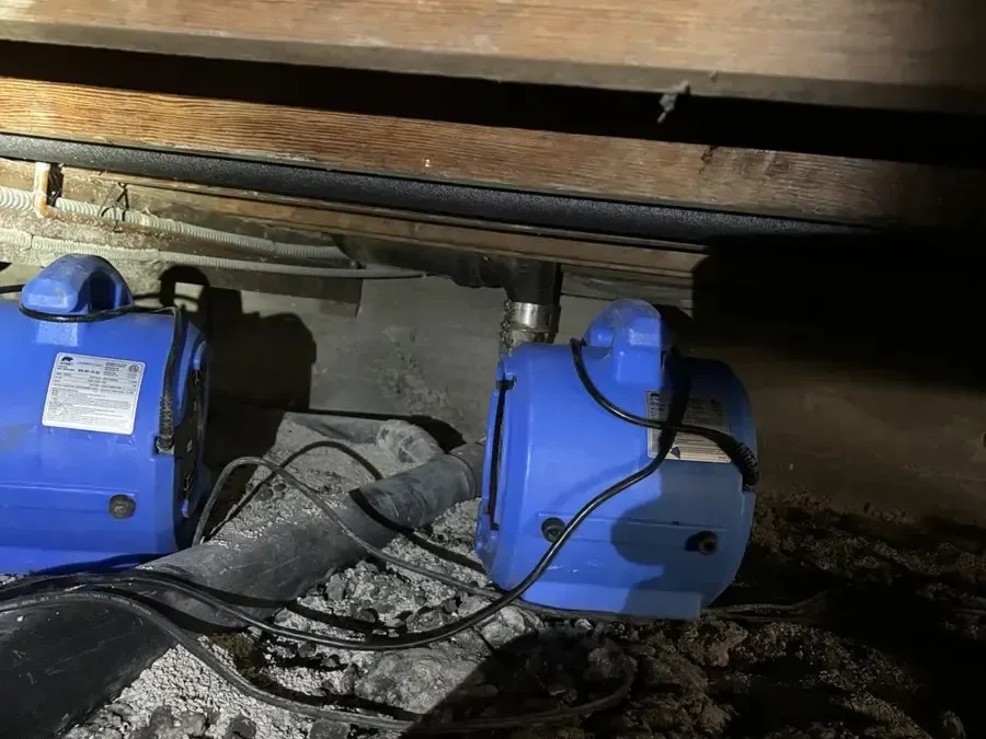 Two blue air movers sit beneath exposed floor joists in a crawl space