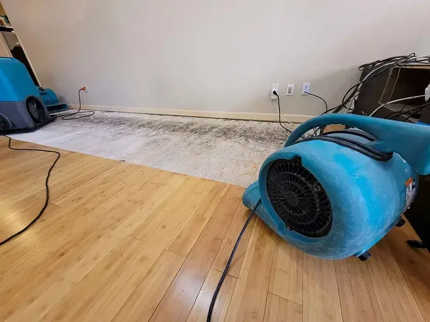 Blue air movers dry a room beside flooring removed at the wall