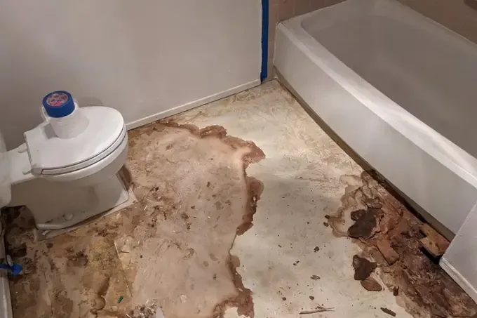 Water-stained floor backing is exposed beside a toilet and bathtub